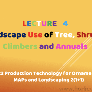 Landscape Use of Tree, Shrubs, Climbers and Annuals PPT